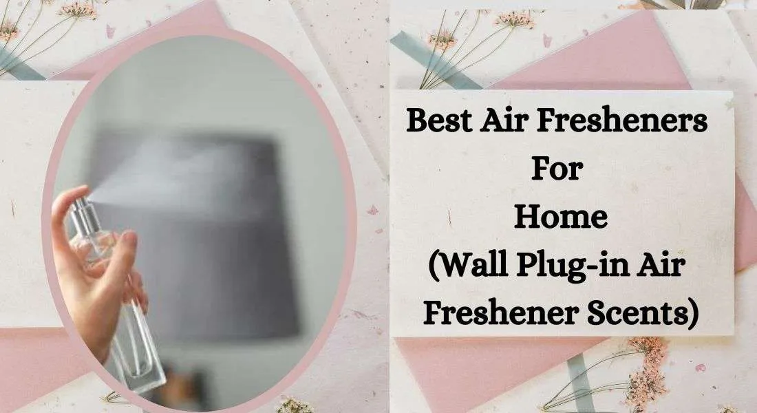 Best Air Fresheners For Home