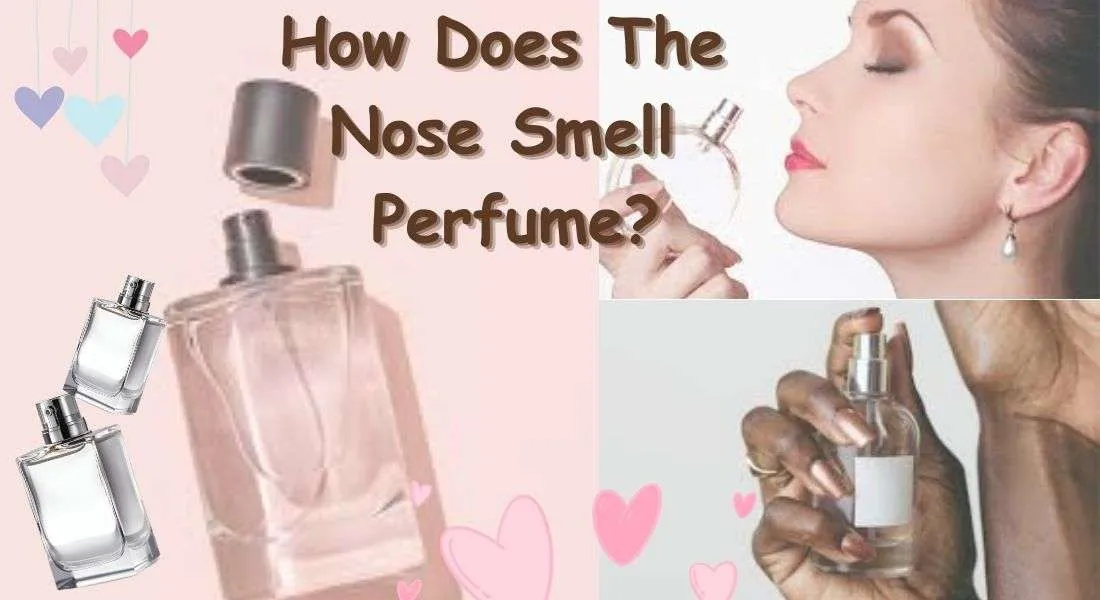 Nose Smell Perfume