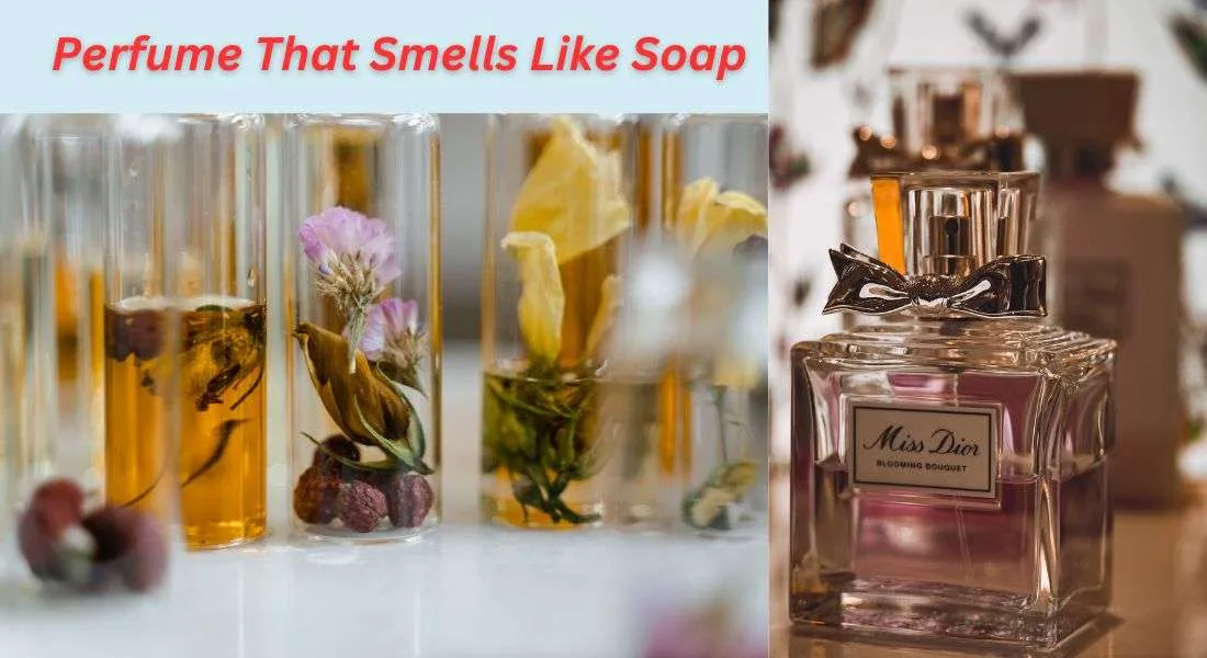 Perfume That Smells Like Soap