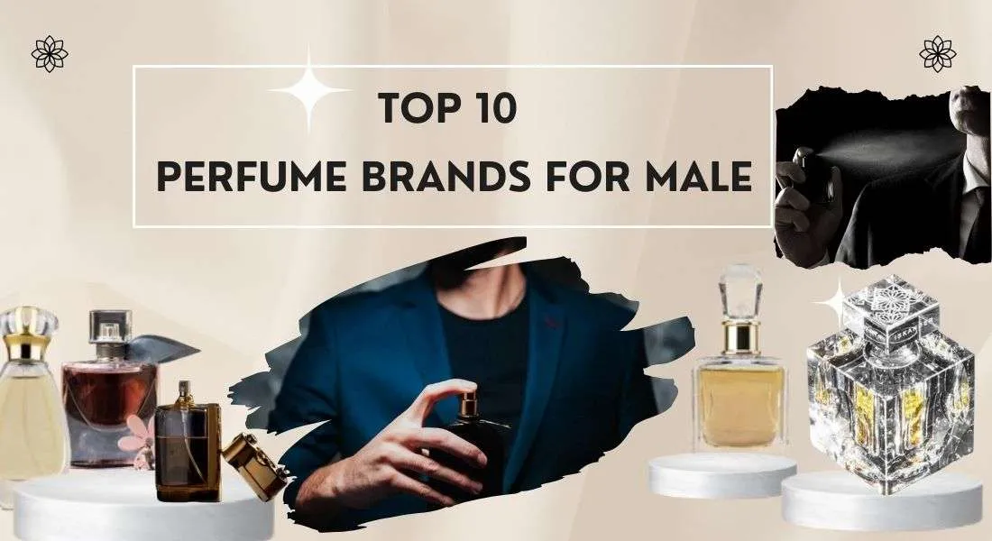 Perfume Brands For Male