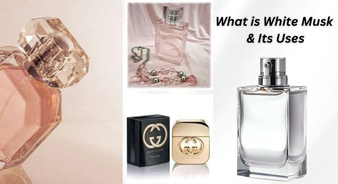 What is White Musk & Its Uses