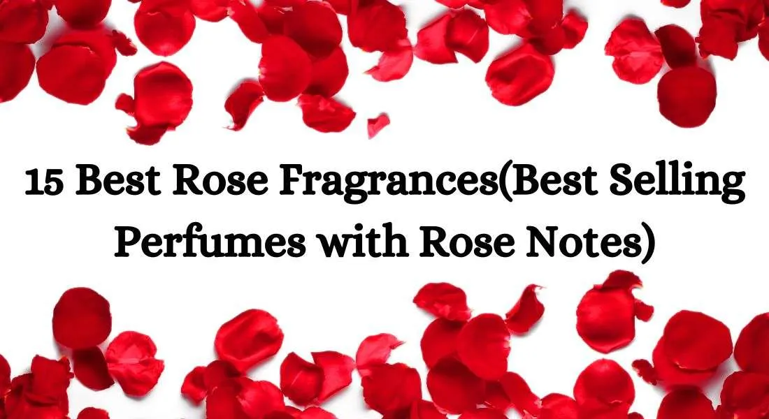 Best Unisex Fragrances