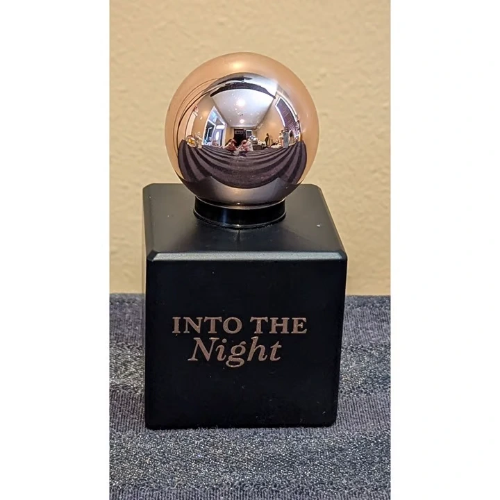 Into The Night image
