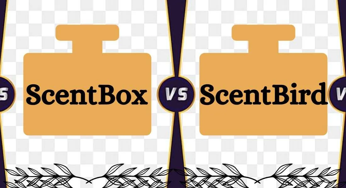 ScentBox Vs ScentBird