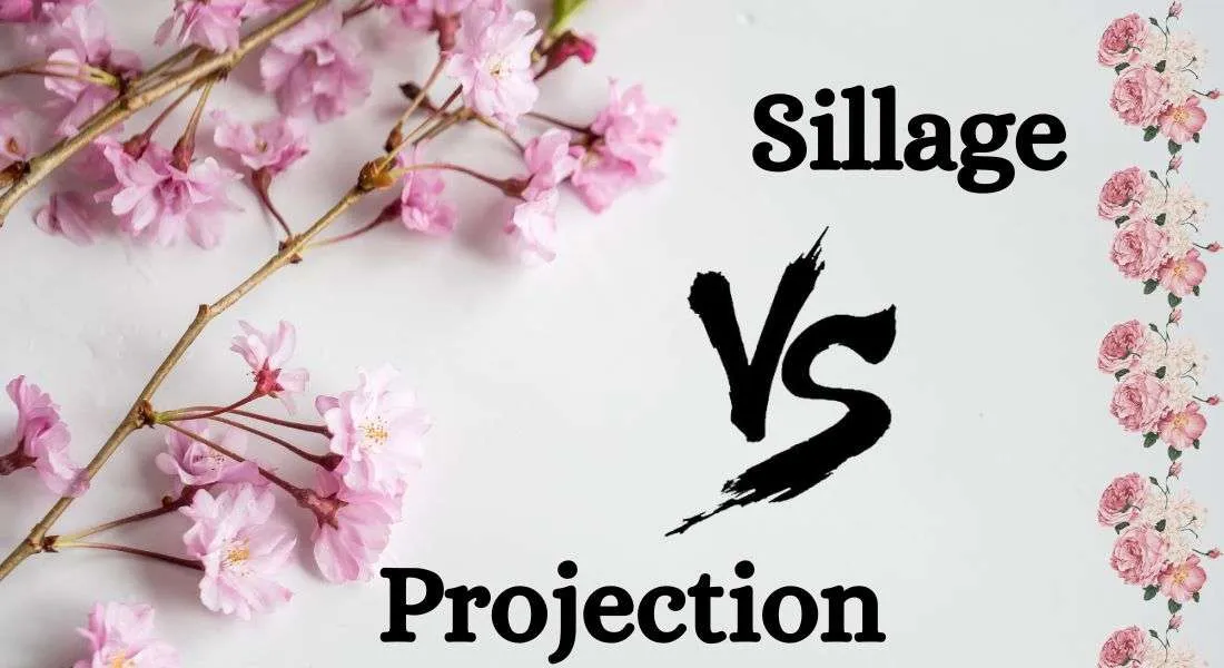 Sillage vs Projection