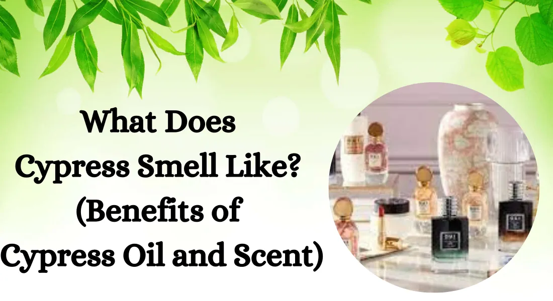 What Does Cypress Smell Like