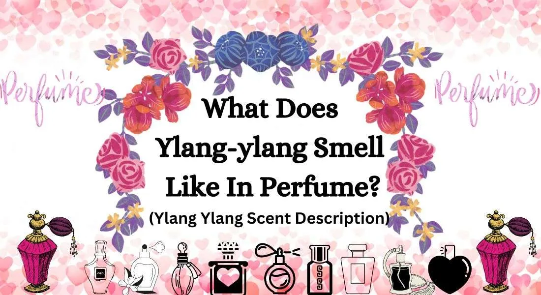 What Does Ylang-ylang Smell Like