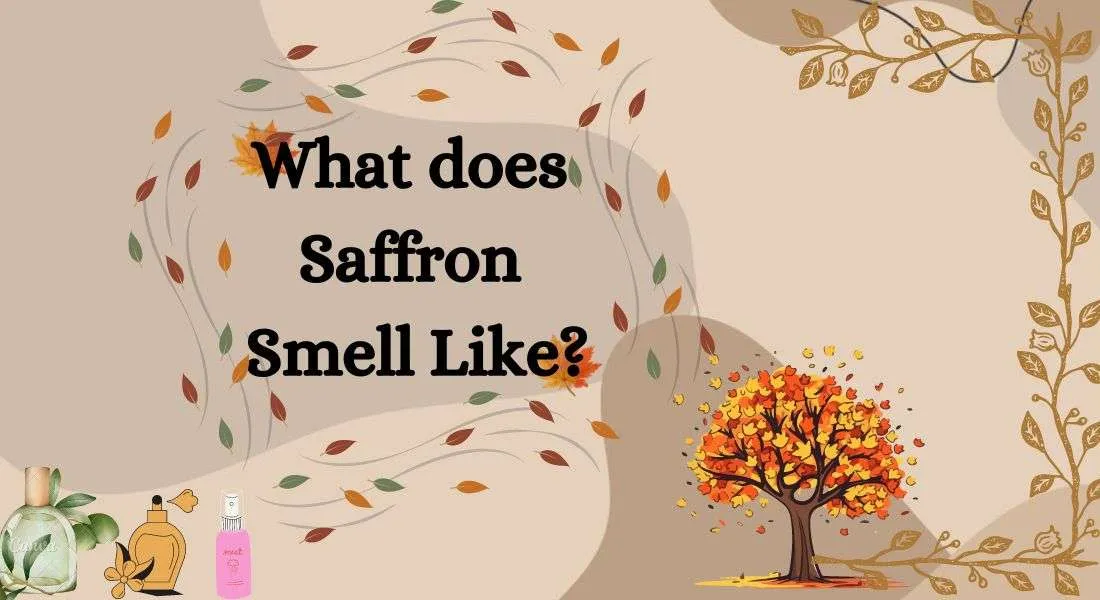 What does Saffron Smell Like