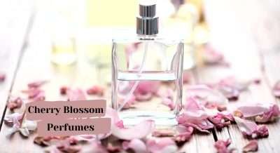 Cherry Blossom Fragrance