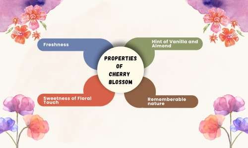 Properties of the Fragrance of Cherry Blossom