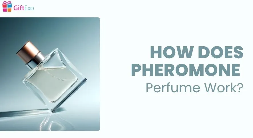 How Does Pheromone Perfume Work-image