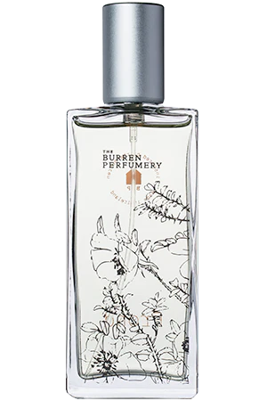 Frond Burren Perfumery perfume