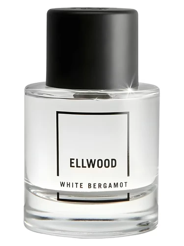 Abercrombie and Fitch Ellwood White Bergamot image
